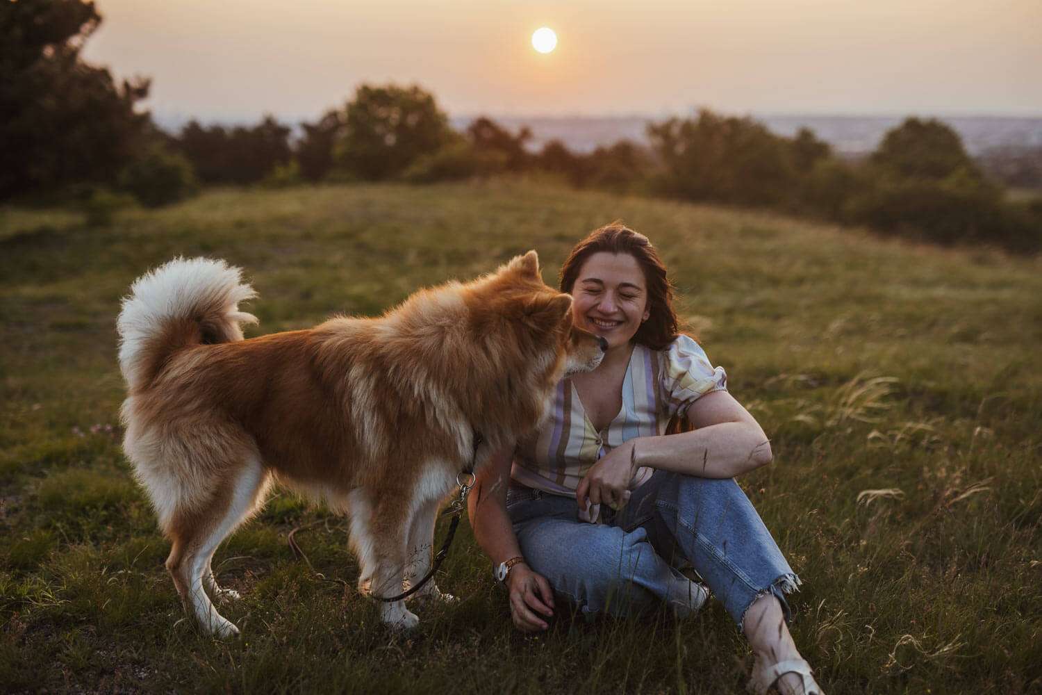 Hundefotografin Wien, Hundefotoshooting im Frühling