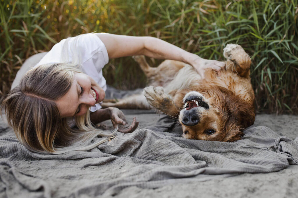 Hundefotografin Wien, Hundefotoshooting im Sommer