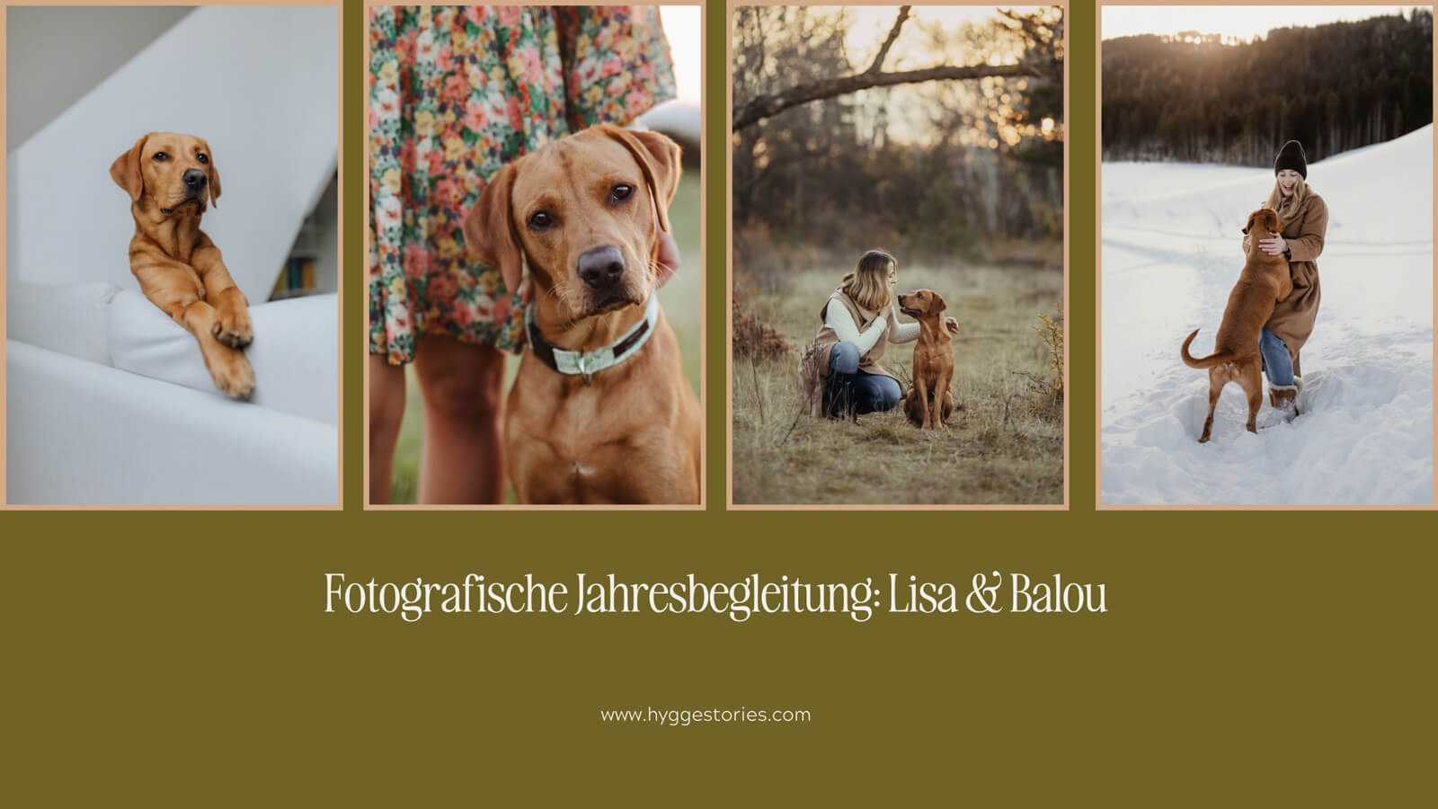Fotografische Jahresbegleitung mit Hund durch die vier Jahreszeiten, Hundefotografie Wien
