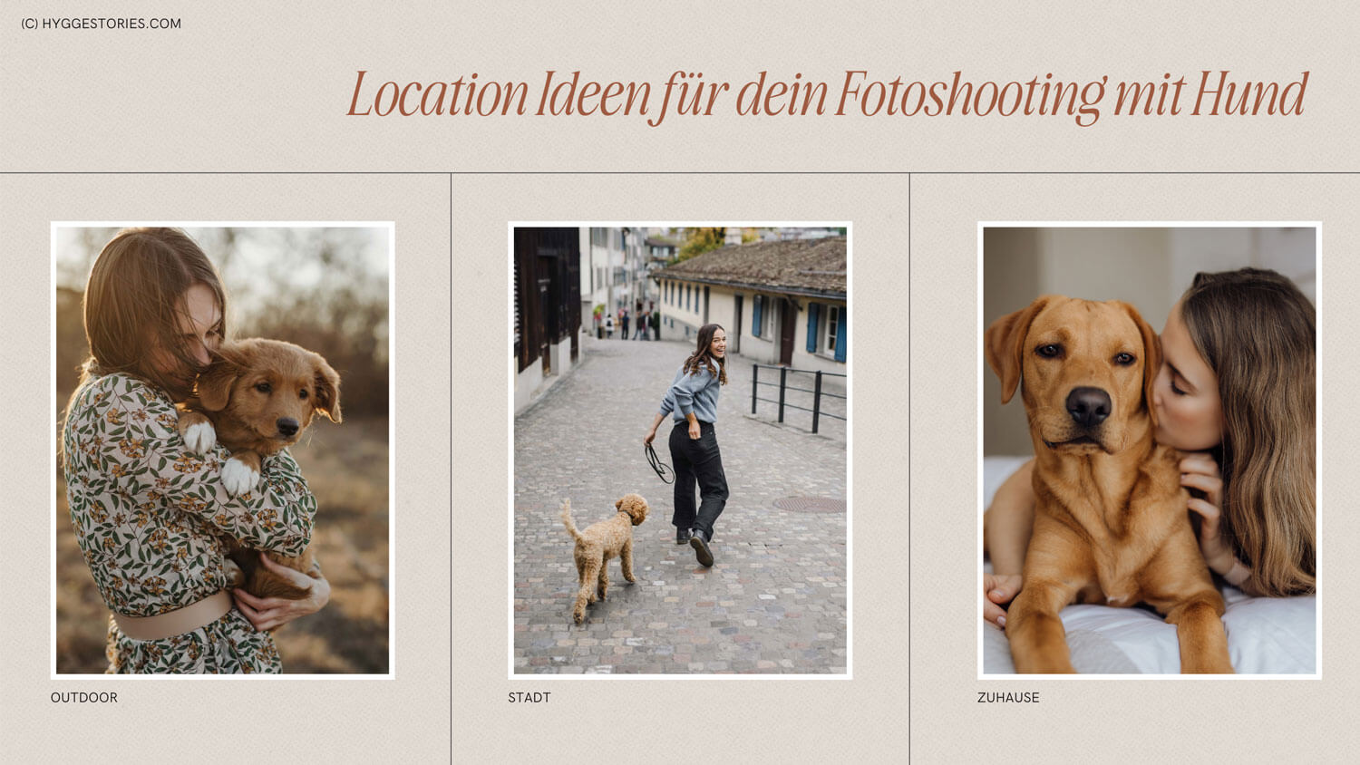 Kreative Fotoshooting Ideen mit Hund, Hundefotografie Wien, Location-Tipps