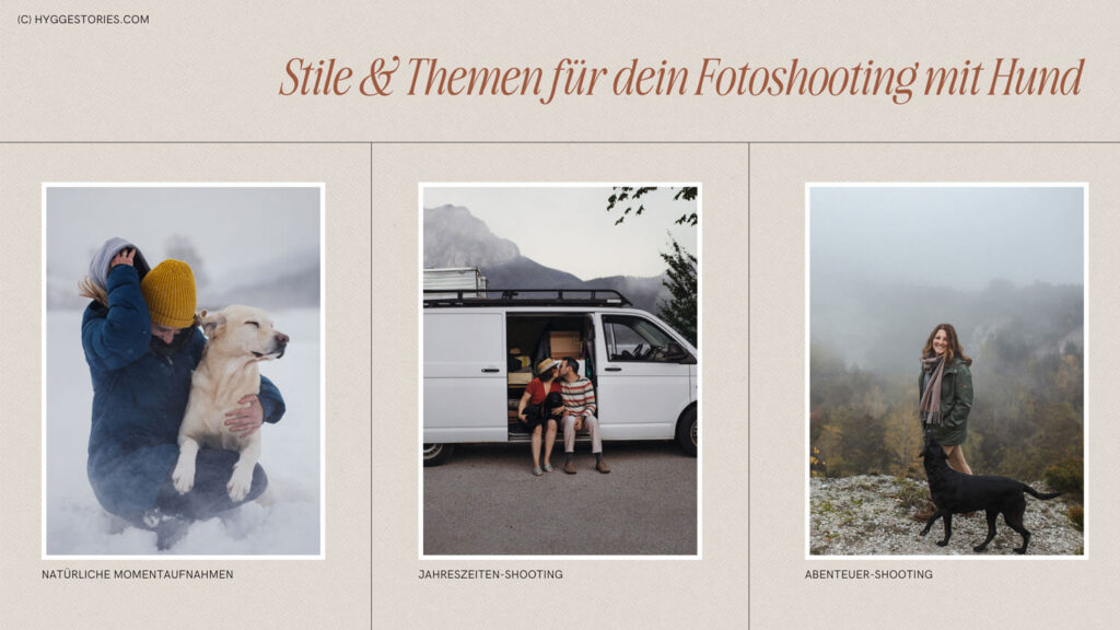 Kreative Fotoshooting Ideen mit Hund, Hundefotografie Wien, Stile und Themen-Tipps